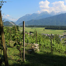 IMG_4116.JPG