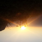 20170618_053911.jpg