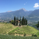 Genusstour rund um Meran.jpg