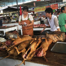 hundefleisch-china-festival-yulin  _2_.jpg