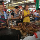 hundefleisch-china-festival-yulin  _3_.jpg