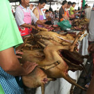 hundefleisch-china-festival-yulin  _4_.jpg