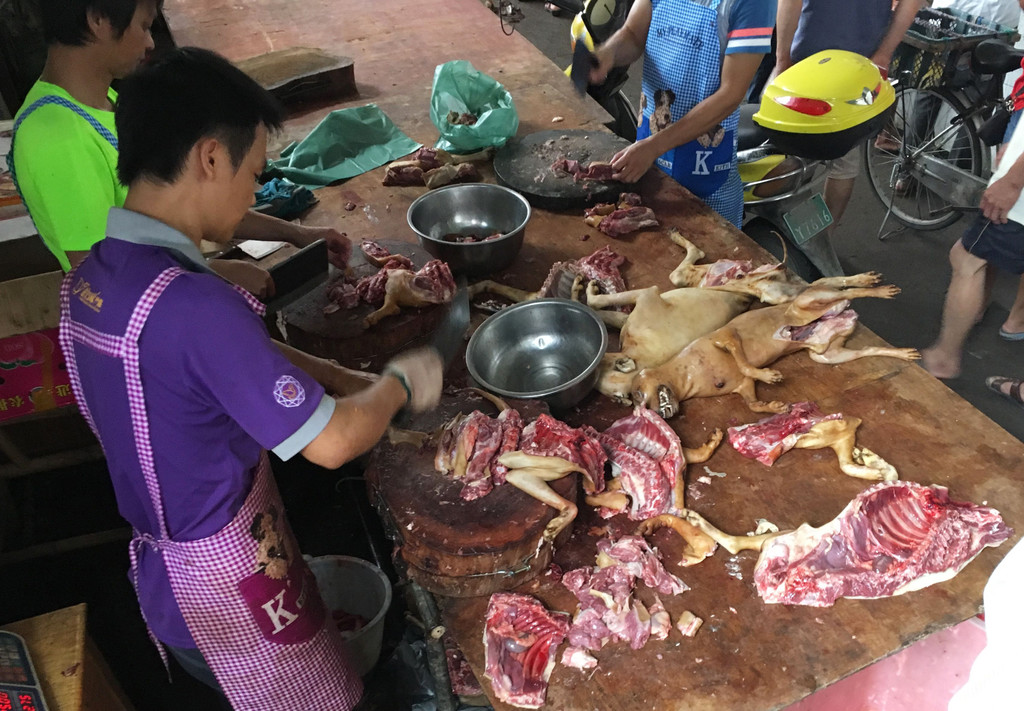 hundefleisch-china-festival-yulin  _5_.jpg
