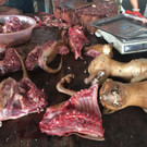 hundefleisch-china-festival-yulin  _13_.jpg