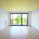 Holzbau leistbar machen