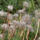 DSC_0222.JPG