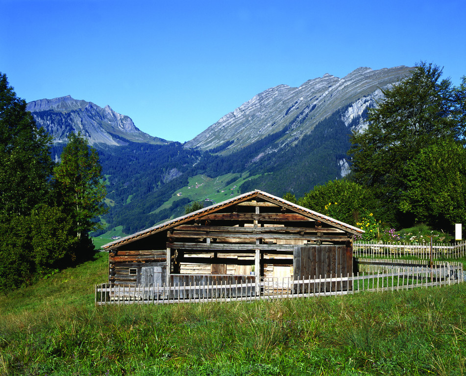 Natur-Erlebnis Holdamoos Foto Au-Schoppernau Tourismus.jpg