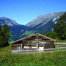 Natur-Erlebnis Holdamoos Foto Au-Schoppernau Tourismus.jpg