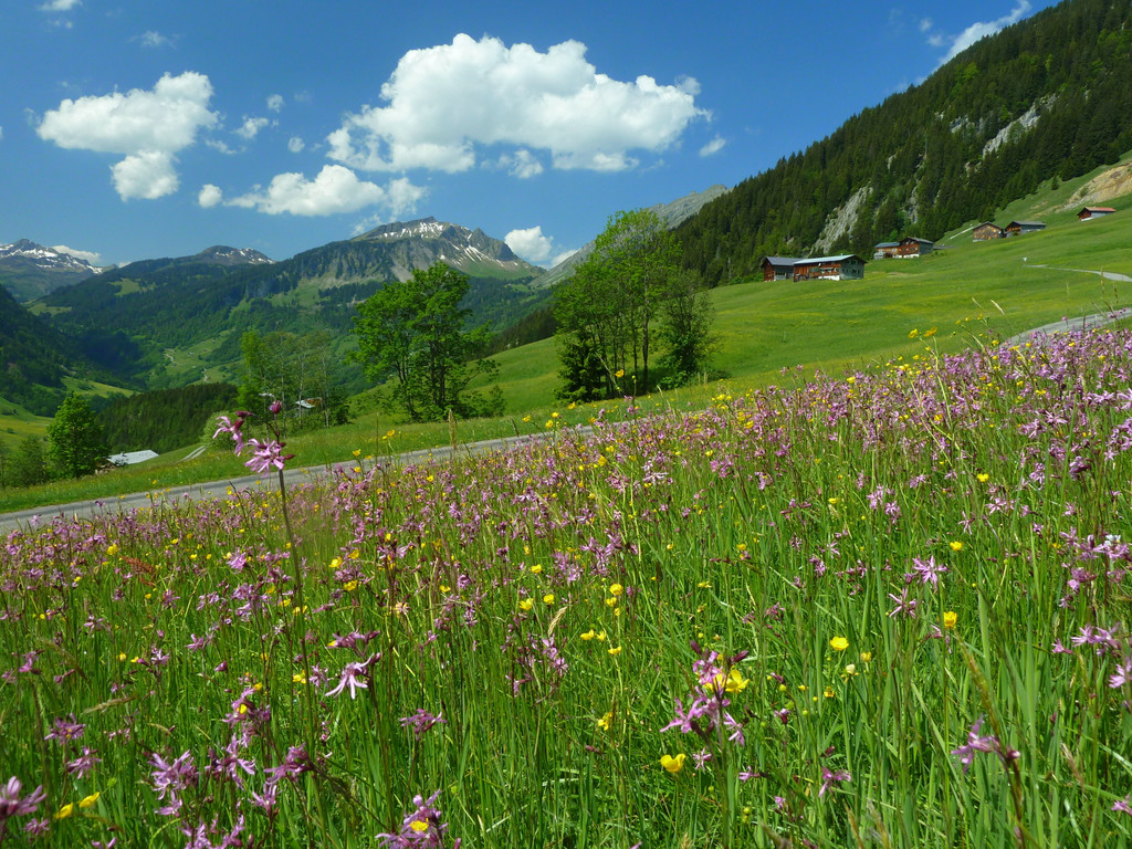 berbigen _17_.JPG
