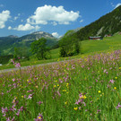 berbigen _17_.JPG