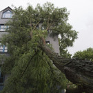 Germany_Weather_18275.jpg