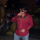 381553.jpg