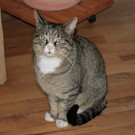 IMG_0178.jpeg