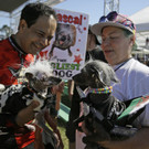 Worlds_Ugliest_Dog_29908.jpg