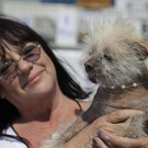 World_27s_Ugliest_Dog_62419.jpg