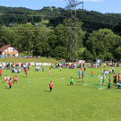 Fu__ball U 7 VLV Abschlussturnier in Lochau 25-06-2017 _17_.JPG