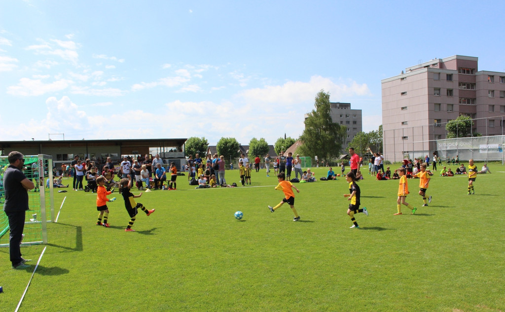 Fu__ball U 7 VLV Abschlussturnier in Lochau 25-06-2017 _18_.JPG