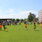 Fu__ball U 7 VLV Abschlussturnier in Lochau 25-06-2017 _18_.JPG