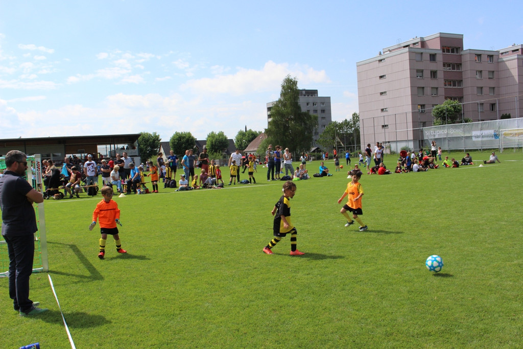 Fu__ball U 7 VLV Abschlussturnier in Lochau 25-06-2017 _19_.JPG