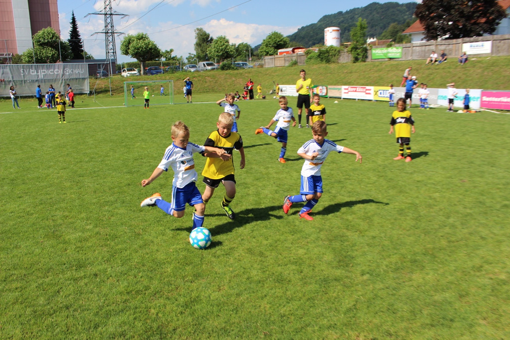 Fu__ball U 7 VLV Abschlussturnier in Lochau 25-06-2017 _32_.JPG