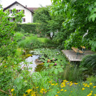IMG_6594.JPG