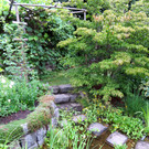 IMG_6600.jpg