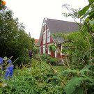 IMG_6604.JPG