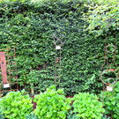 IMG_6621.JPG