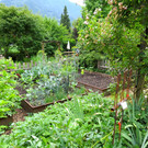 IMG_6644.JPG
