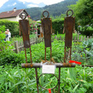 IMG_6645.jpg
