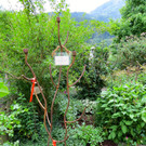 IMG_6649.jpg