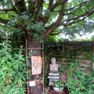 IMG_6653.jpg
