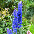 IMG_6656.jpg