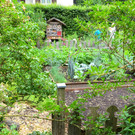 IMG_6662.jpg