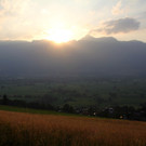 IMG_1950.jpg