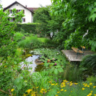 IMG_6594.jpg