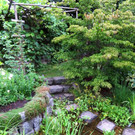 IMG_6600.jpg