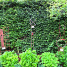IMG_6621.jpg