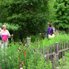 IMG_6629.jpg