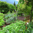 IMG_6644.jpg