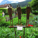 IMG_6645.jpg