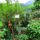 IMG_6649.jpg