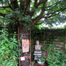 IMG_6653.jpg