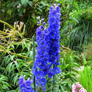 IMG_6656.jpg