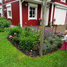 IMG_6664.jpg