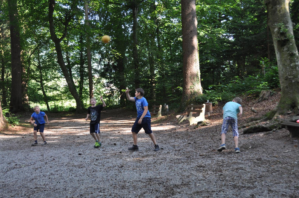 DSC_0021 _Copy_.JPG