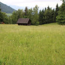 IMG_4453.JPG