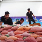 drogen-thailand-myanmar-verbrannt _3_.jpg