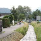 Kräuterkunde