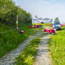 20170624_Lionswald_002.jpg